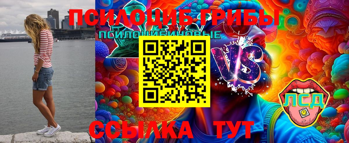 Псилоцибиновые грибы MAGIC MUSHROOMS  Вход с VPN  Рузаевка  Галлюциногенные грибы Psilocybine cubensis 