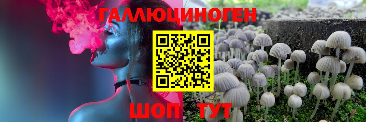 Псилоцибиновые грибы ЛСД Рузаевка